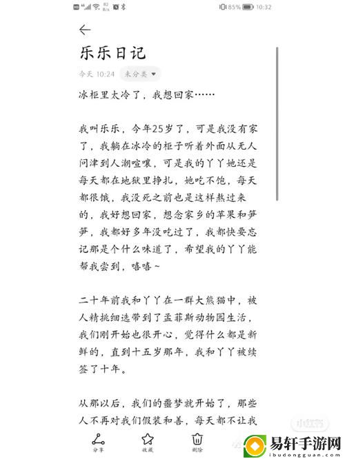  乐乐的jianying日记阅读：一段心灵的旅程