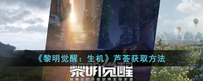 黎明觉醒：生机芦荟获取方法
