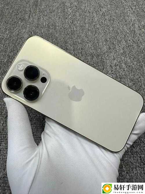 探索俄罗斯市场中令人瞩目的iphone14pro