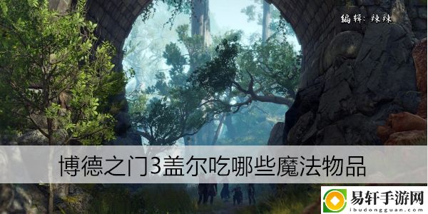 博德之门3盖尔吃哪些魔法物品：职业天赋加点建议