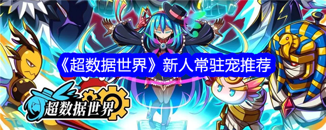 超数据世界新人常驻宠推荐