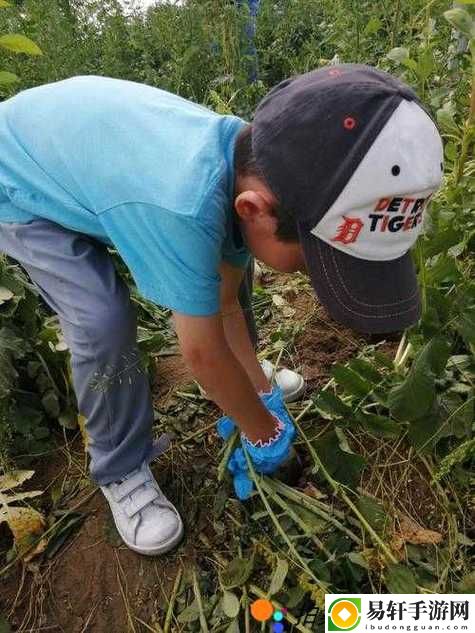 挤牛奶拔萝卜怎么拔，网友分享：生活中的小妙招