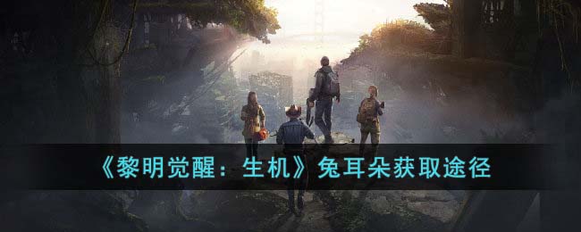 黎明觉醒：生机兔耳朵获取途径