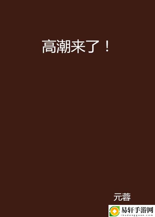  在激情与乐趣之间：啊灬啊灬啊灬快灬高潮了的旅程