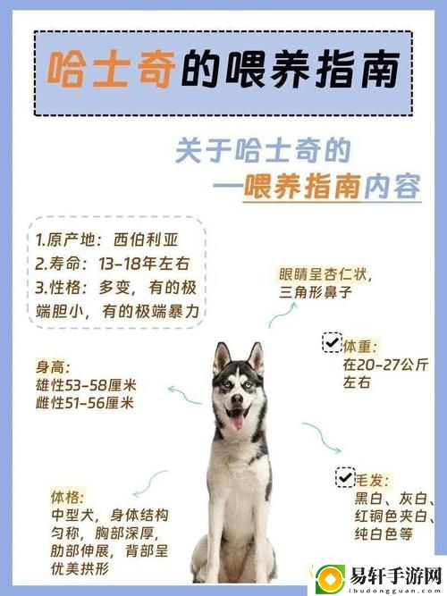  人狗胶配方大全：探索多样化的胶水配方及其用途