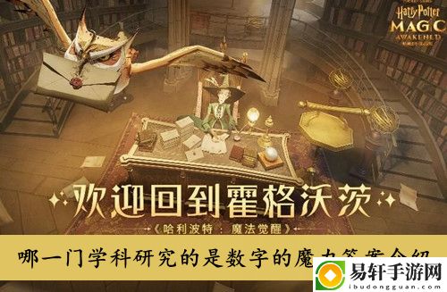哈利波特魔法觉醒哪一门学科研究的是数字的魔力答案介绍