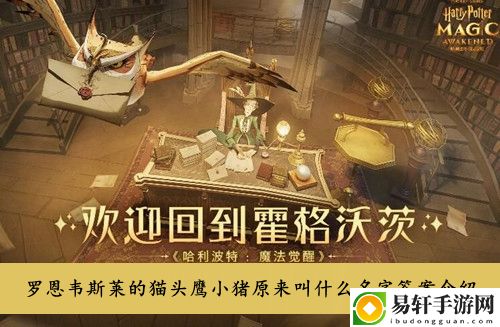 哈利波特魔法觉醒罗恩韦斯莱的猫头鹰小猪原来叫什么名字答案介绍