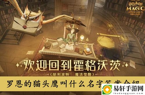 哈利波特魔法觉醒罗恩的猫头鹰叫什么名字答案介绍