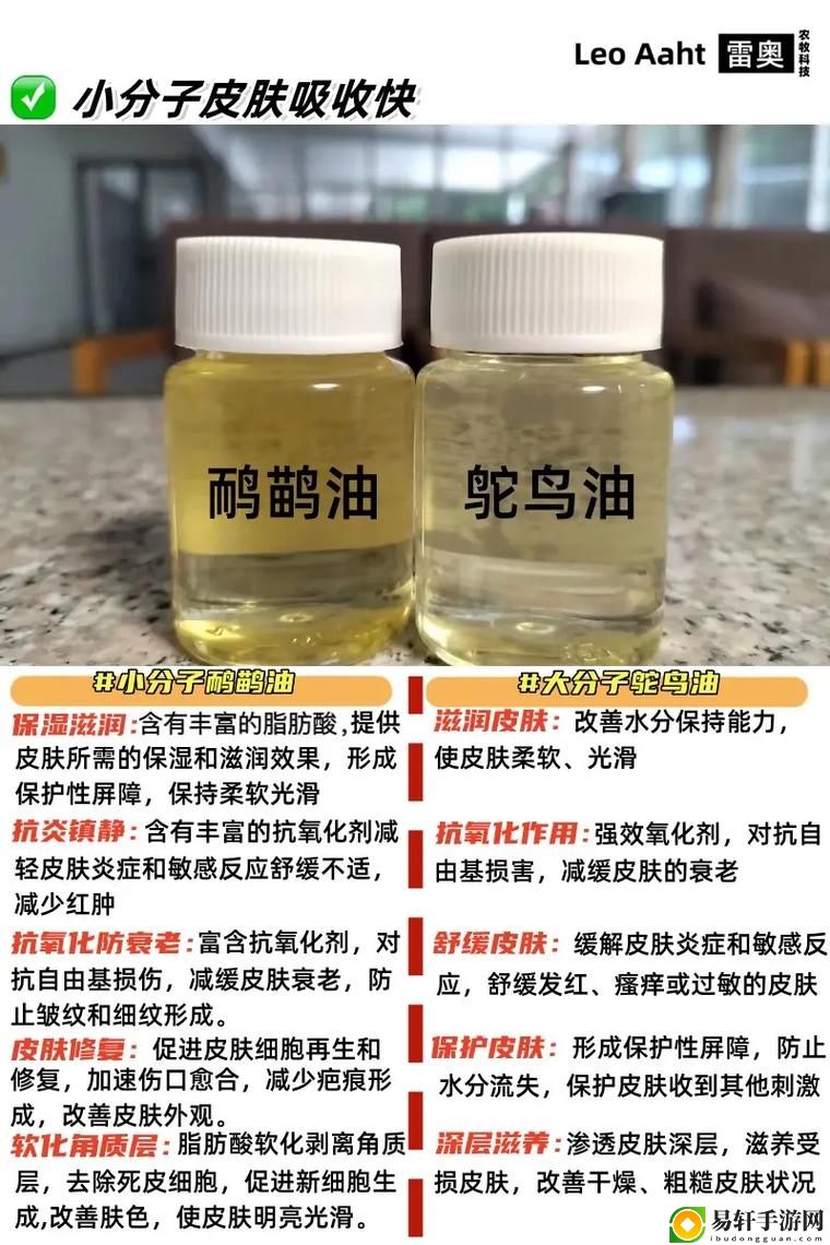  扌桑辶畐和畐畲的区别最新动态，用户热议：