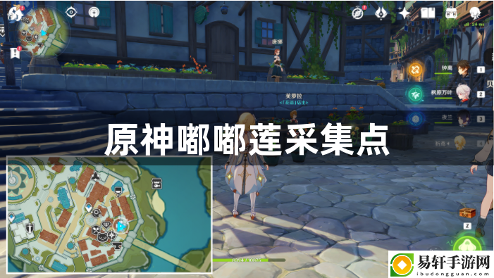 原神嘟嘟莲采集点 副本速通思路分享