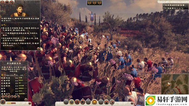 罗马2：全面战争去除高级兵种招募限制MOD8.0可用