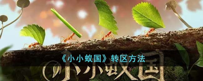 小小蚁国转区方法