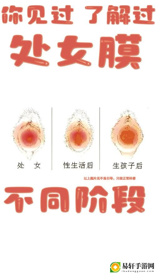  探索“处破女和处破全过第一次”的情感之旅