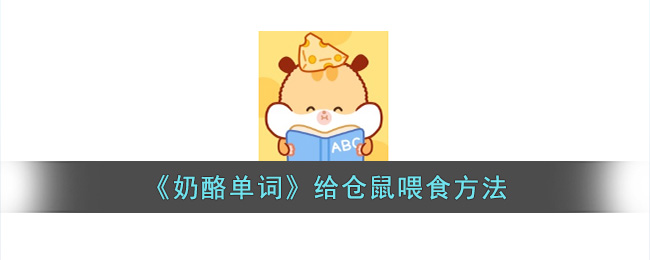 奶酪单词给仓鼠喂食方法