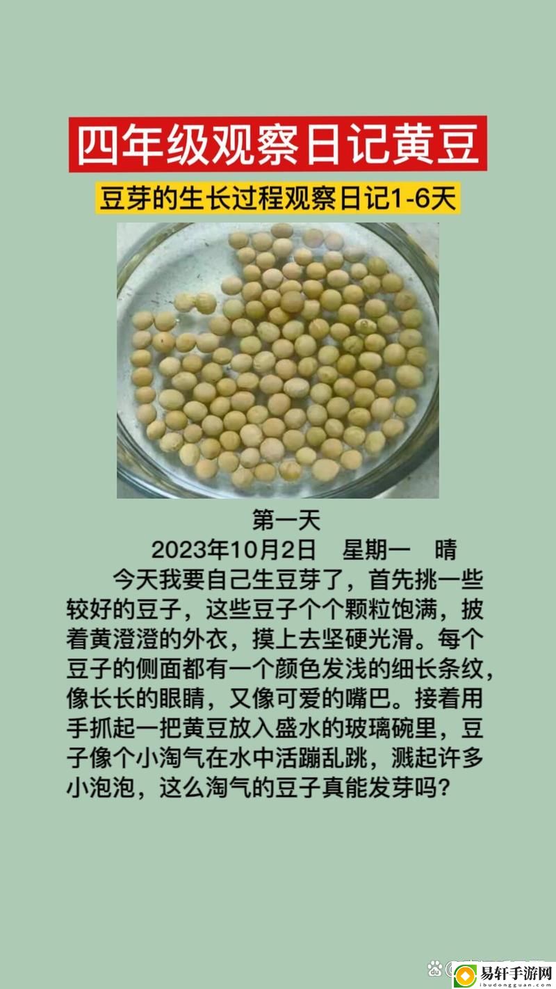  小翠日记1-6：青春岁月的点滴记录