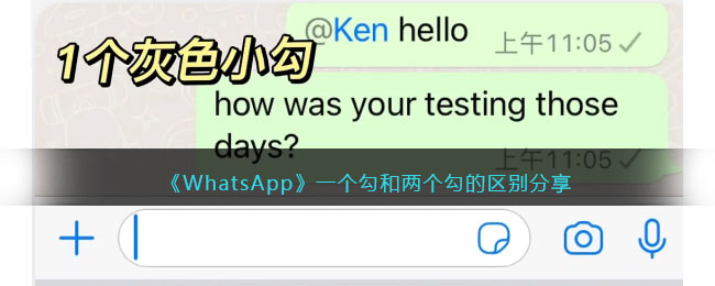 WhatsApp一个勾和两个勾的区别分享