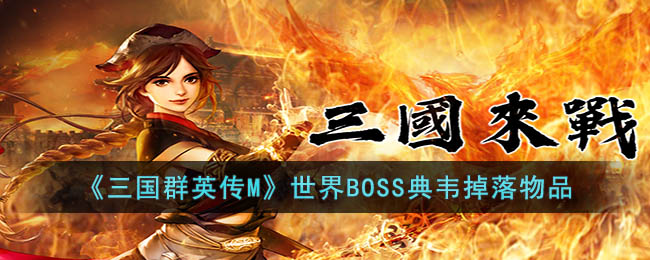 三国群英传M世界BOSS典韦掉落物品