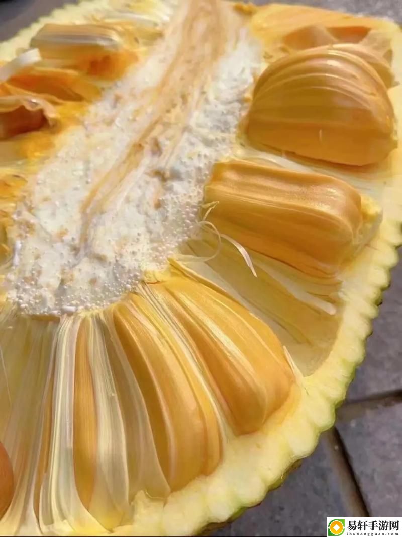  亚精产品一三三三菠萝蜜：探索热带美味的魅力