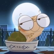 海龟蘑菇汤完整正式版下载
