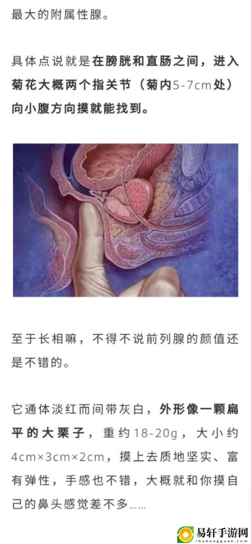 在公交车里c弄到高C了怎么办