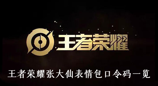 王者荣耀张大仙表情包口令码一览
