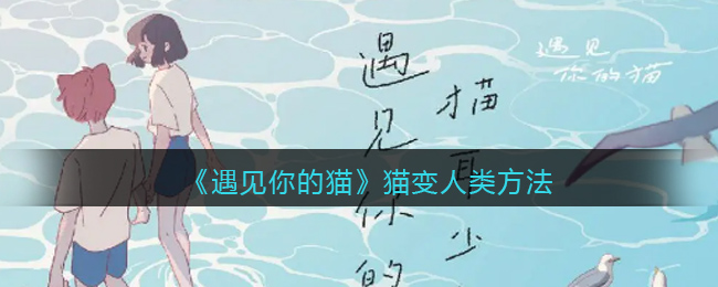 遇见你的猫猫变人类方法