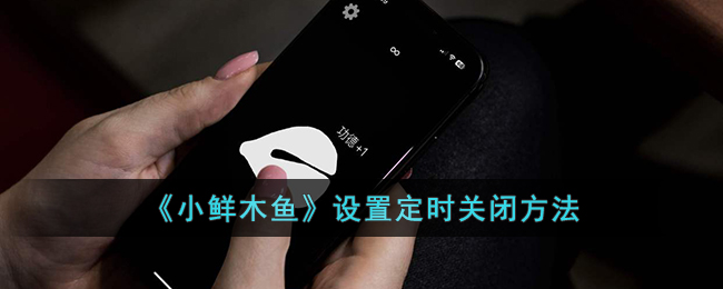 小鲜木鱼设置定时关闭方法