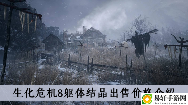 生化危机8躯体结晶出售价格介绍