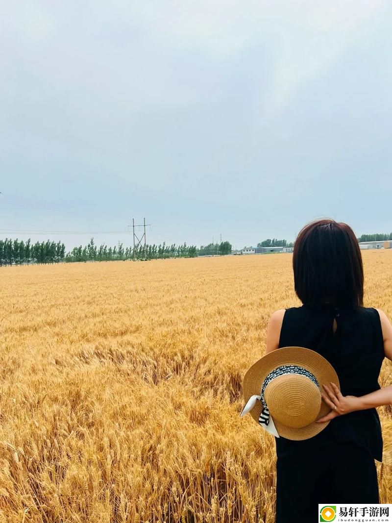  追寻自由与责任的旅程：偿还债务的麦子3HD