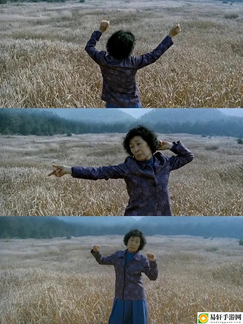   我的姐妹韩剧电视剧妈妈：情感与生活的交织