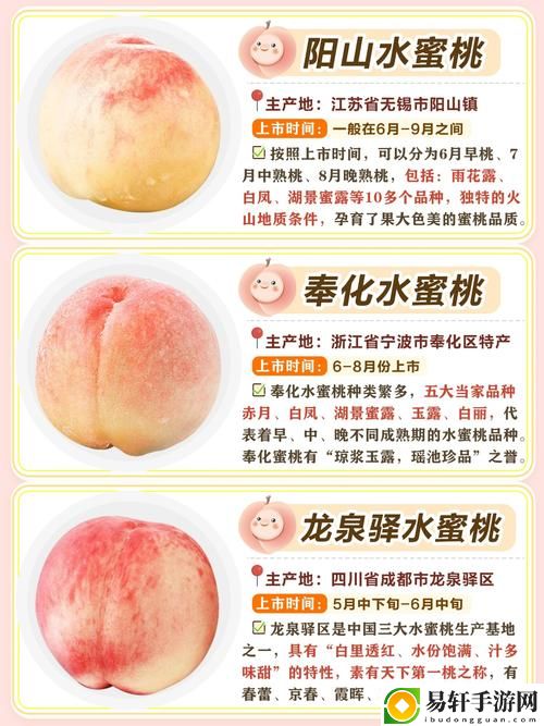 蜜桃国精产品二三三区，用户热议：品质与体验的双重享受