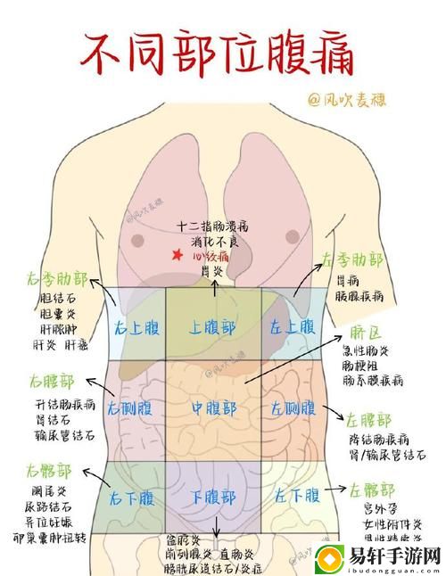  探讨女上男下姿势后左下腹肚子疼的原因与应对