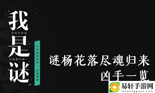 我是谜杨花落尽魂归来凶手一览