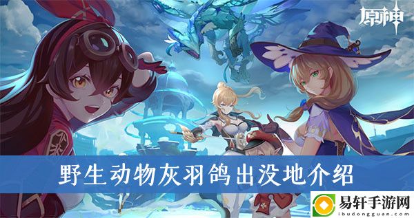 原神野生动物灰羽鸽出没地介绍