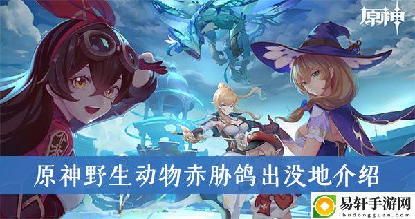 原神野生动物赤胁鸽出没地介绍