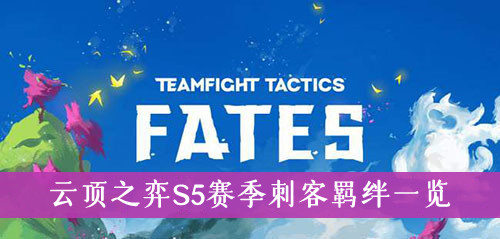 云顶之弈S5赛季刺客羁绊一览