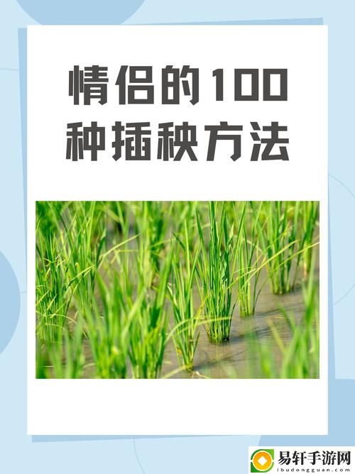 探索“夫妻插秧38种方法图片大全”的多样插秧技艺