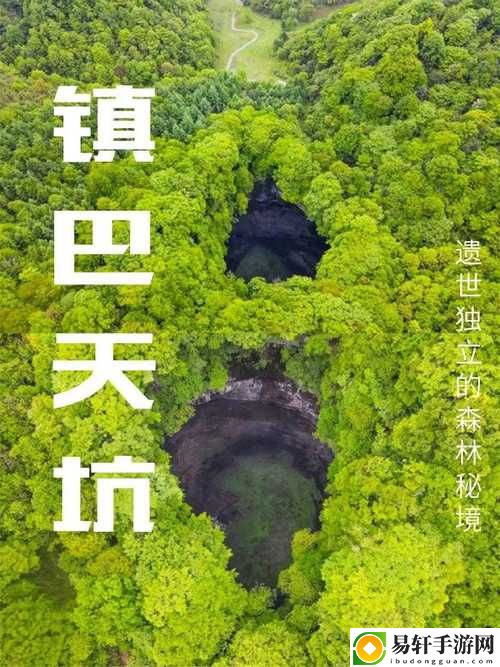 大地资源二3高清免费观看，用户热议：探寻自然之美与科学的交织
