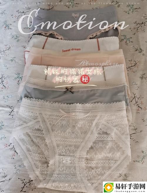 红桃91精品㊙️入口内裤包裹，用户：体验升级的新选择