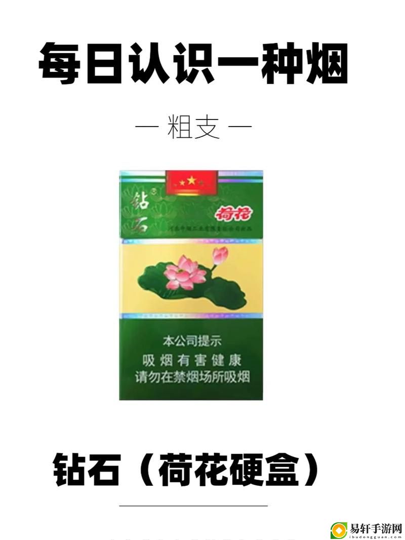 迷人与灵动的世界：荷花1777.TⅤ