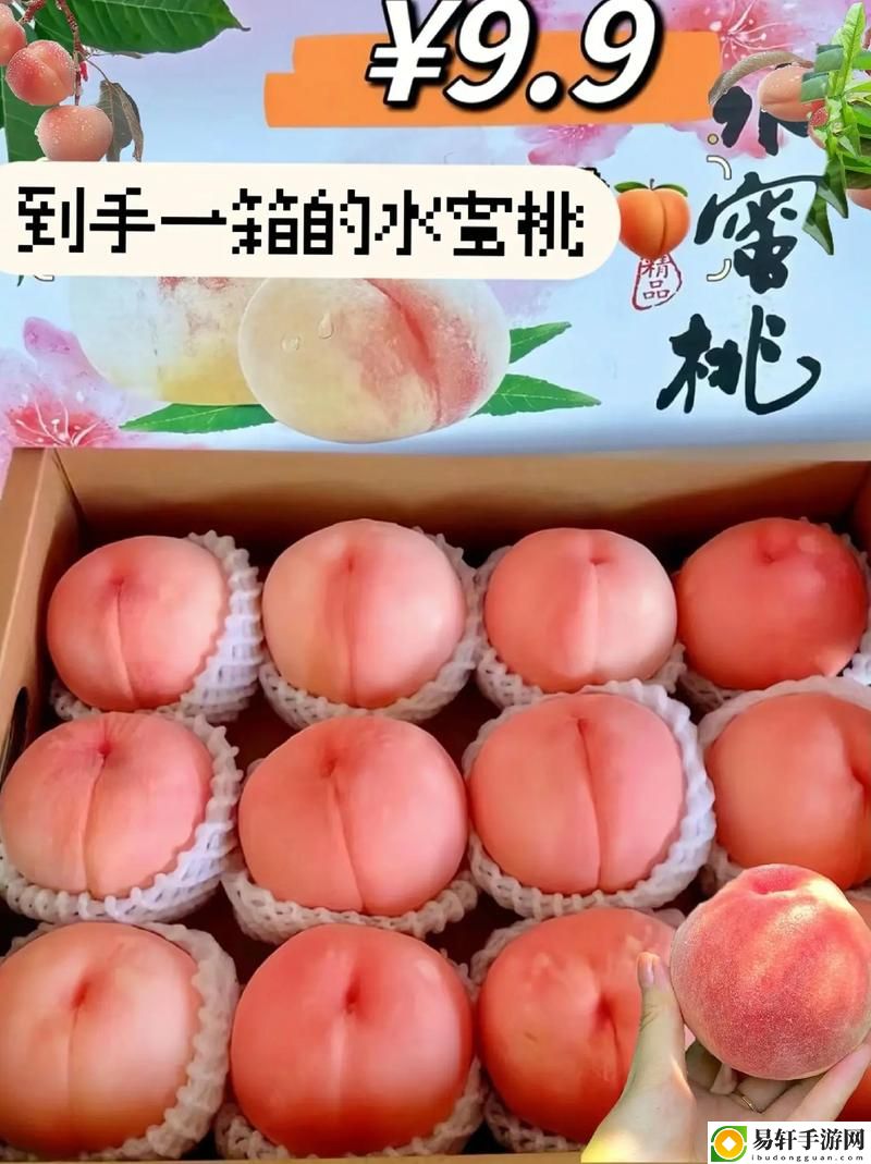  探寻“一曲二曲三曲水蜜桃澳门”的独特韵味