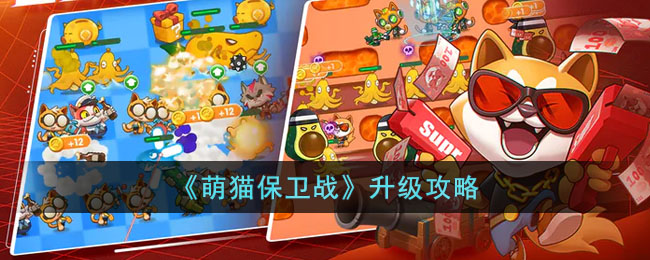 萌猫保卫战升级攻略