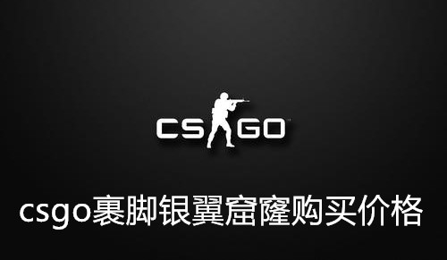 csgo裹脚银翼窟窿购买价格