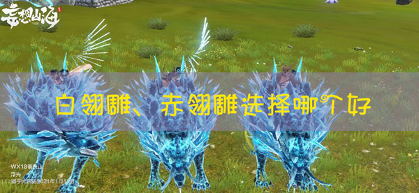 妄想山海白翎雕和赤翎雕哪个好：高效提升战斗能力方案