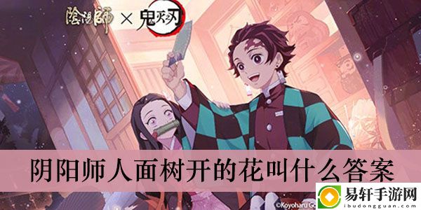 阴阳师人面树开的花叫什么答案介绍