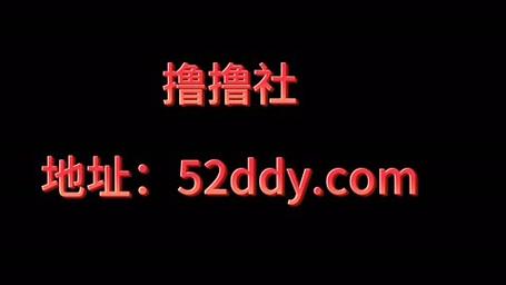 撸撸社下载，观众：一场视觉与互动的盛宴