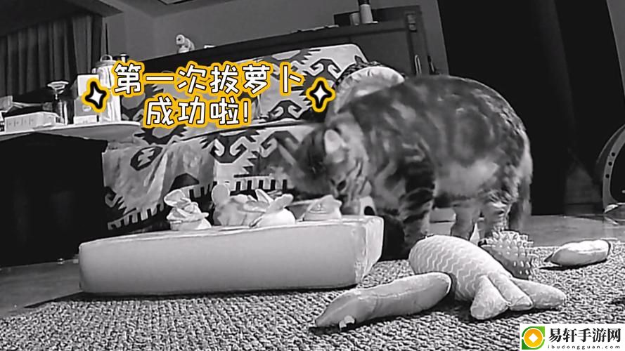 动画二人世界拔萝卜在线观看被曝光，用户：这是我最喜欢的动画之一！