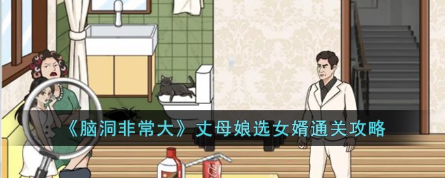 脑洞非常大丈母娘选女婿通关攻略