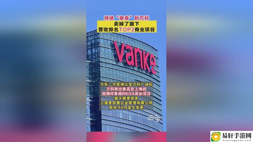  探索17c起草红桃国际的创新变革与未来发展