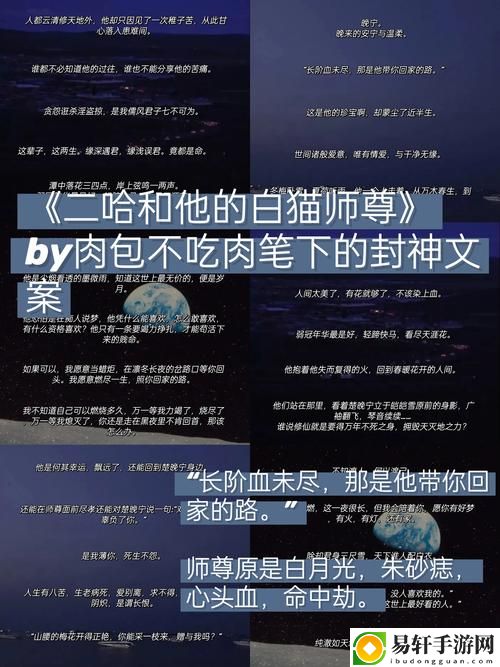 在城市阴影下：“老乞丐未尽的命运长篇”的故事